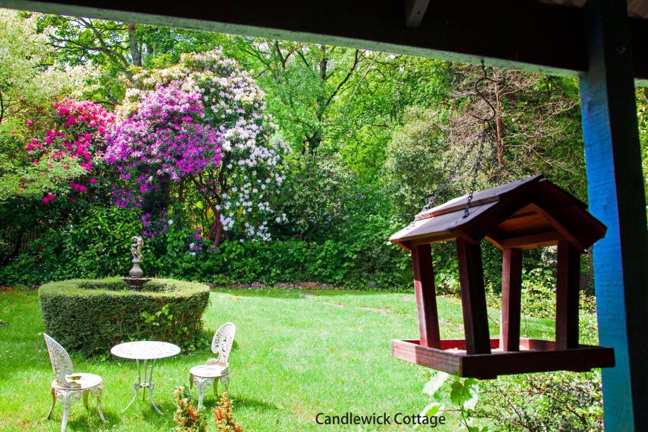 Observatory Bed & Breakfast 4*