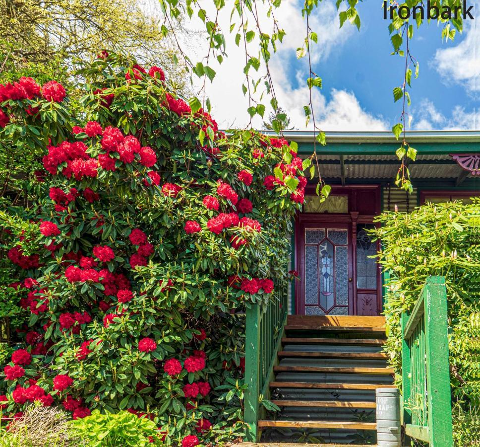 Observatory Bed & Breakfast